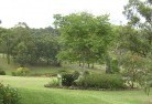 Hester Brookresidential-landscaping-40.jpg; ?>